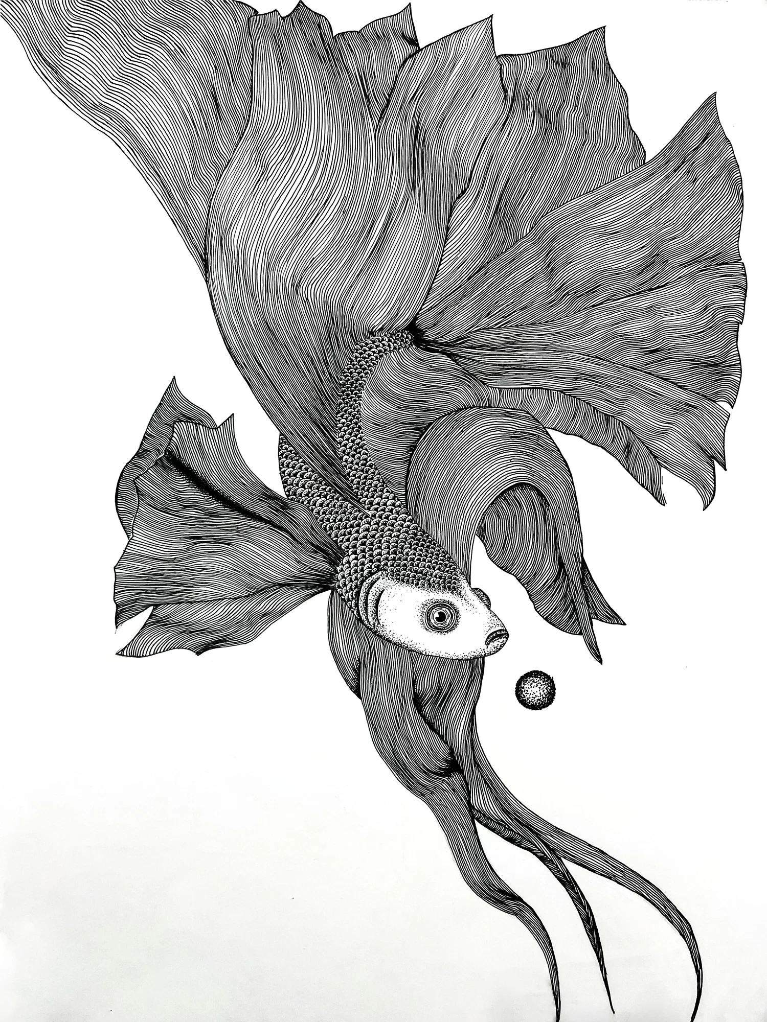 Large betta fish with detailed line work and stippling, featuring a glowing orb