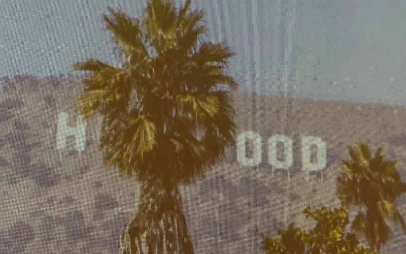 Photograph of a palm in front of the Hollywood sign