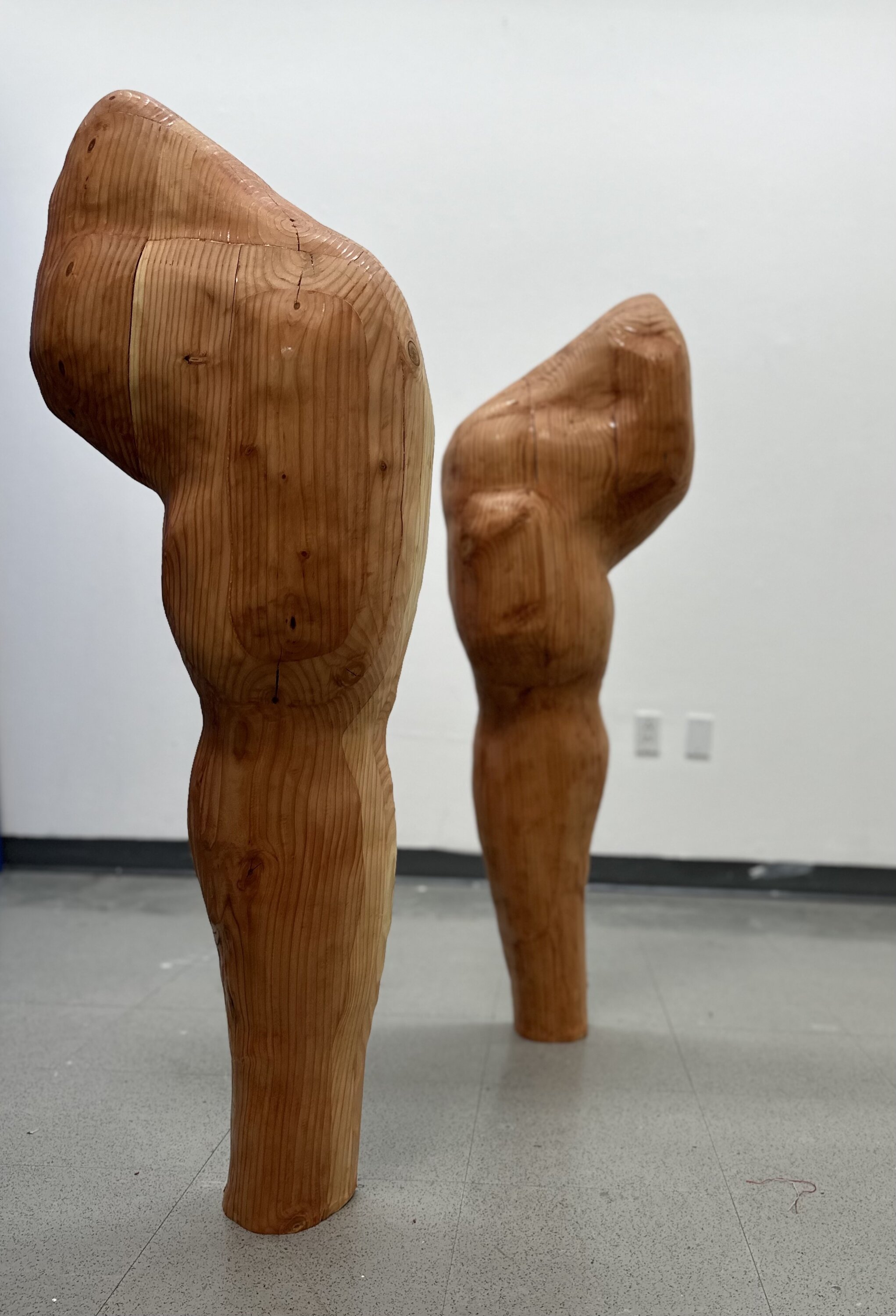 Two wooden asymmetric sculptures. 
