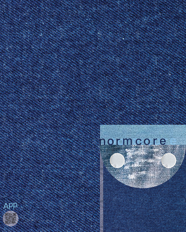 Normcore poster version 3