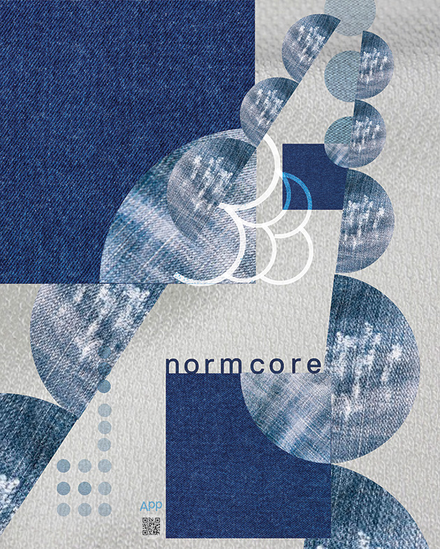 Normcore poster version 2