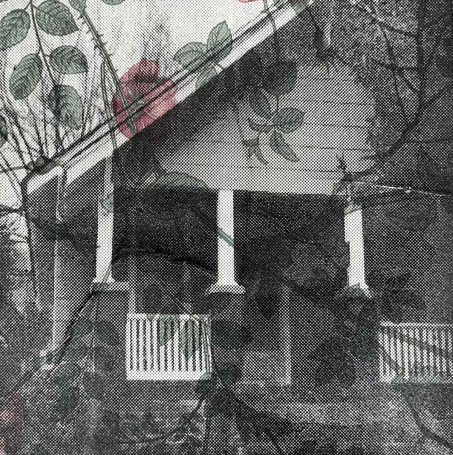 A screen print of the artist's father's childhood home on wallpaper.