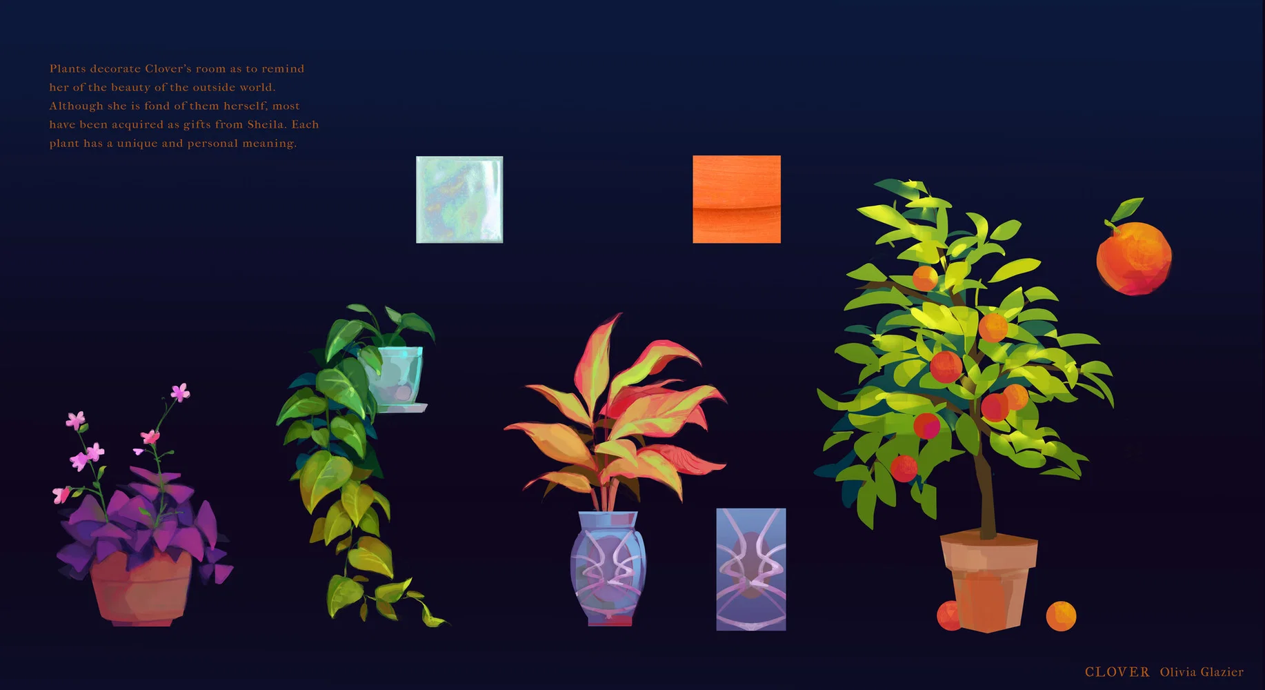 Clover's Plant Collection