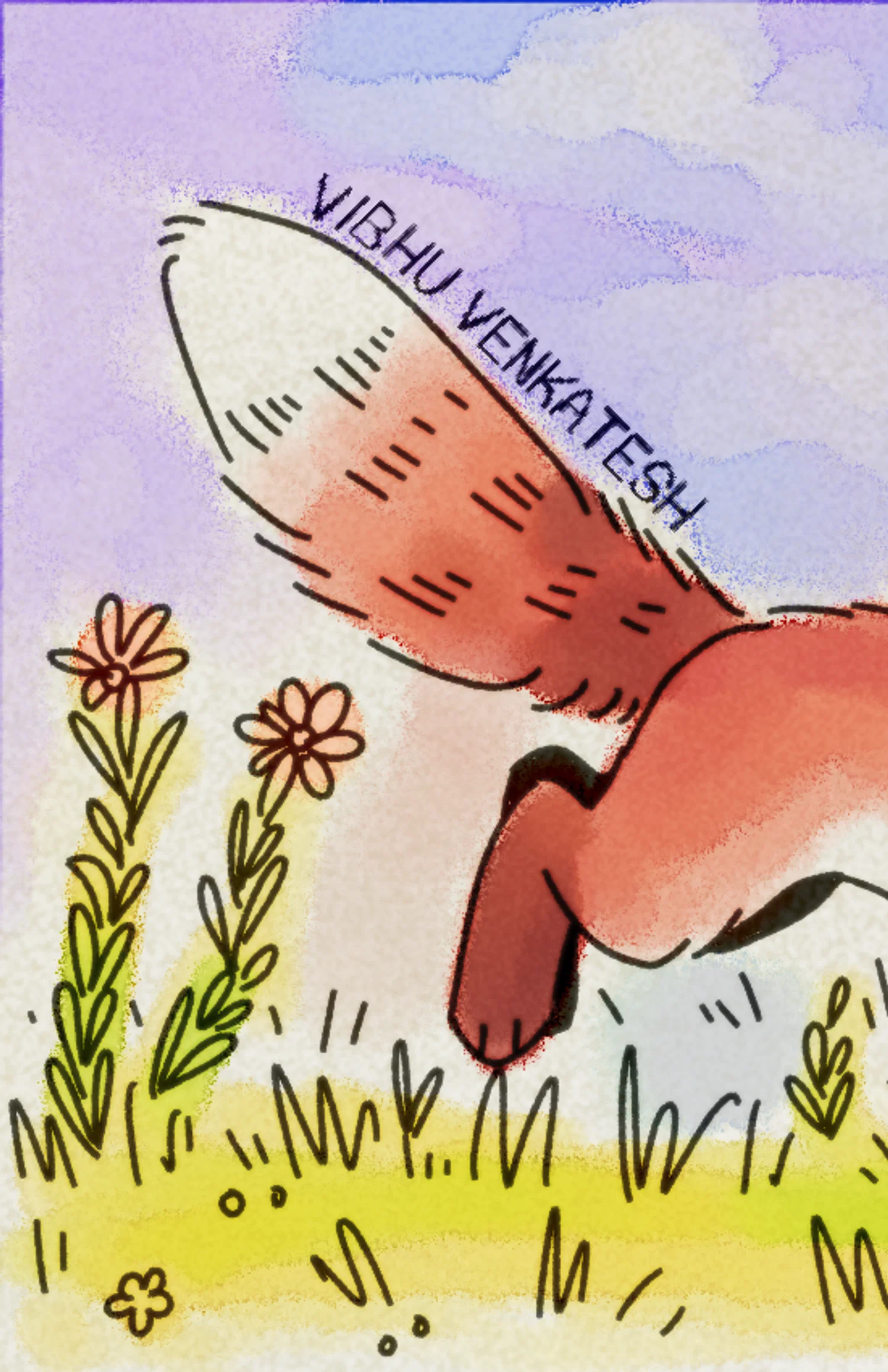 Eight page zine featuring 12 different foxes, as well as a red fox running through a meadow on the front and back covers.