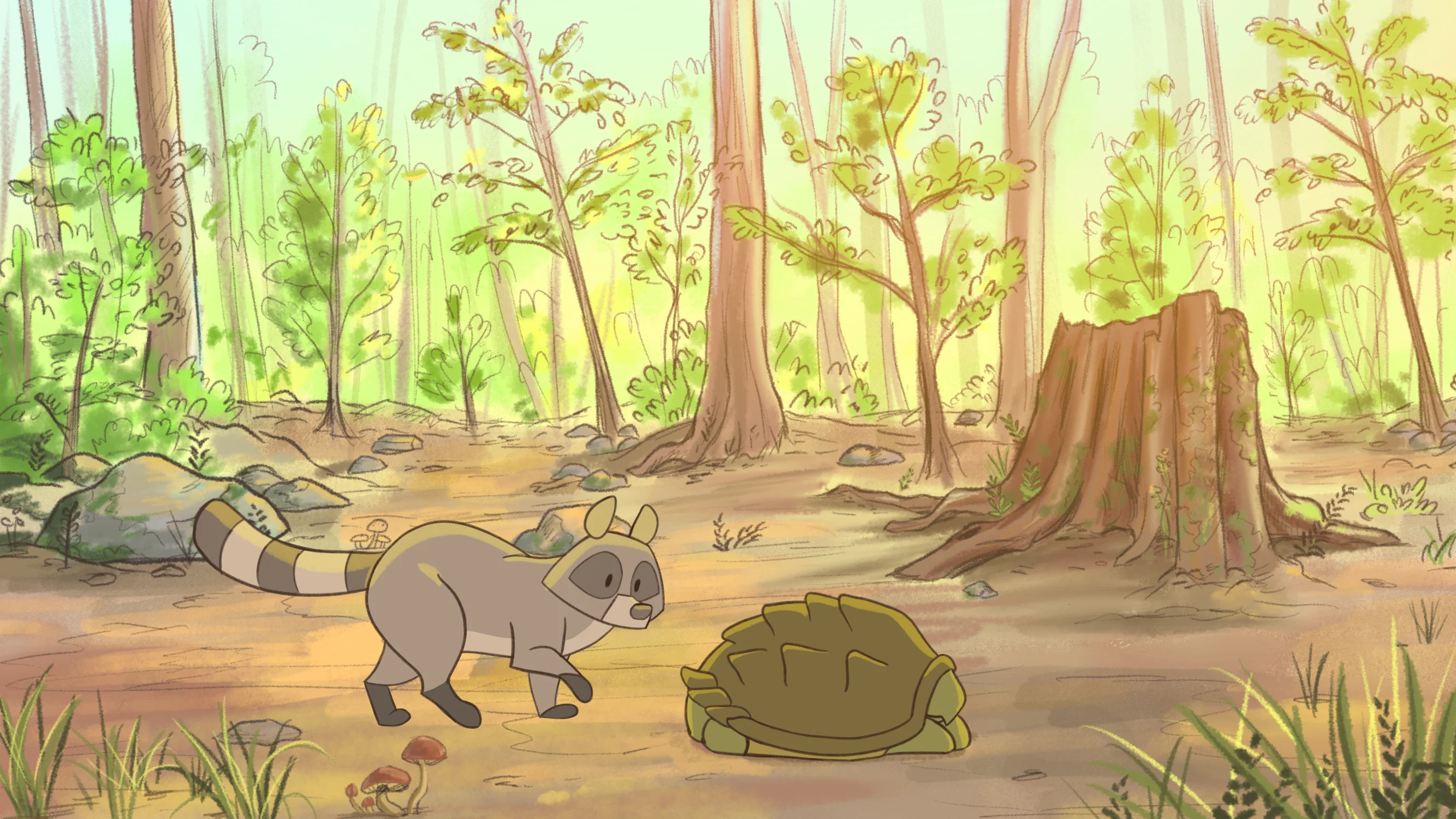 Raccoon Animation Screenshot