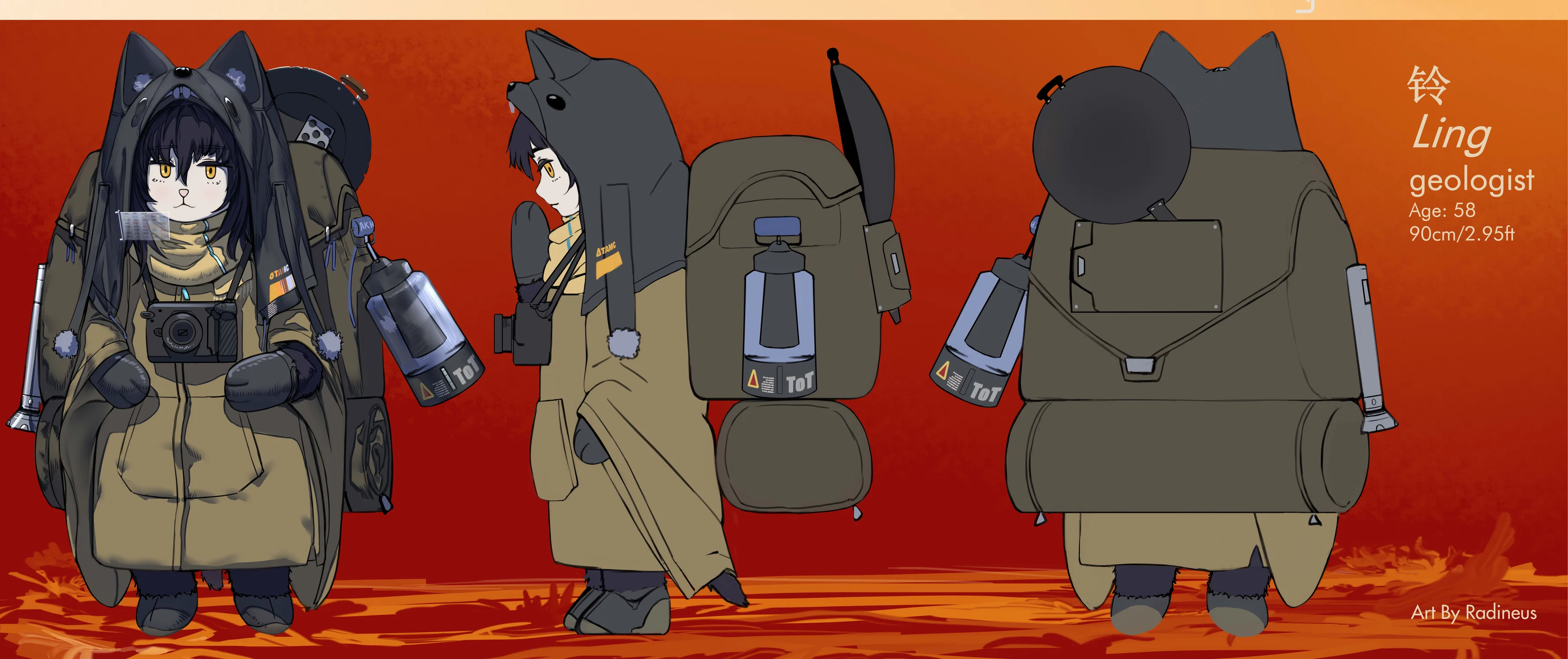 A cute cat Geologist with her camping gear