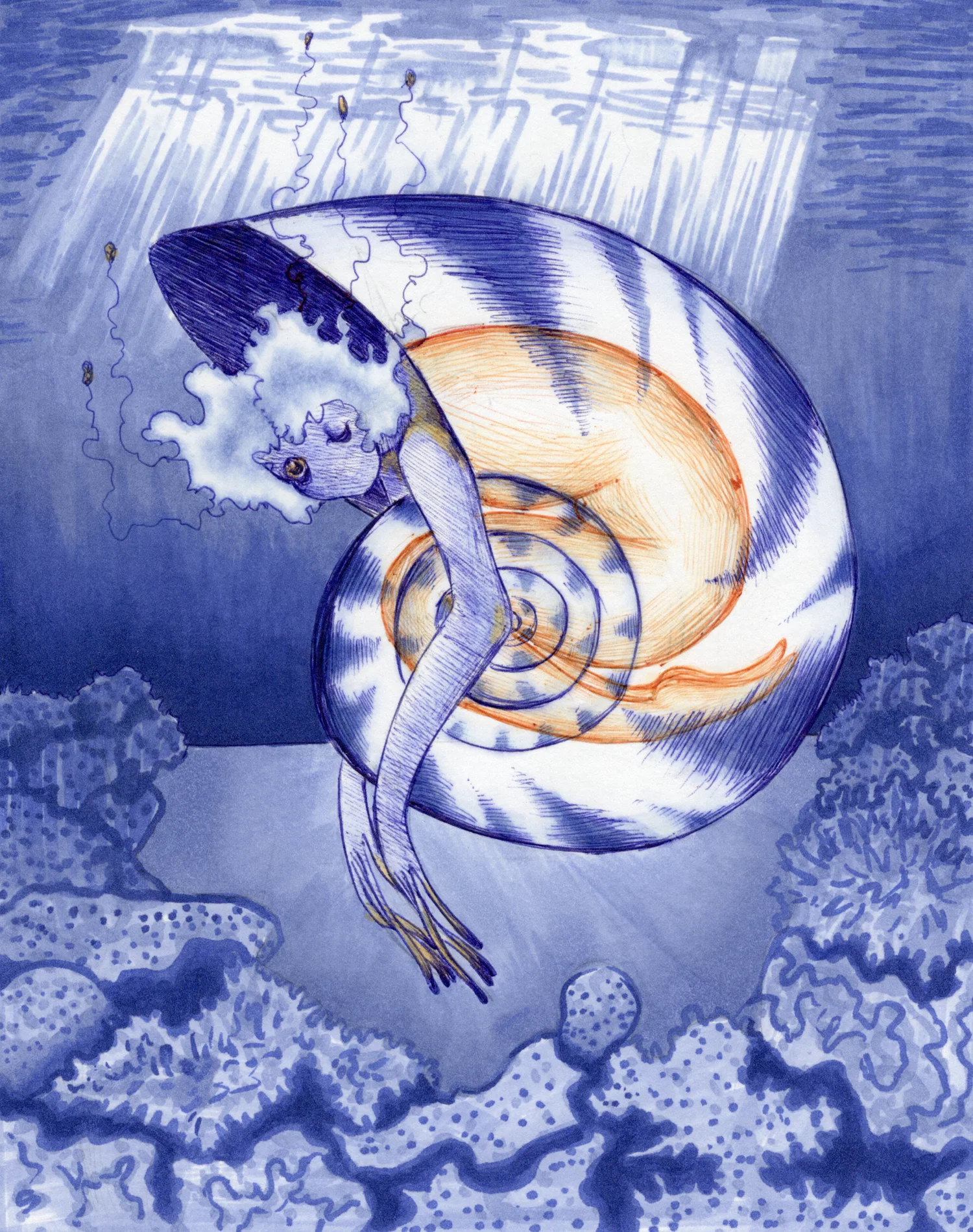 The majority of the piece is lavender to dark blue, and set in the sea. A humanoid creature sits in a nautilius shell in the middle of the composition, facing the side. It's head and arms are showing through the opening, looking at the viewer. The creature has big eyes and no mouth and white, fluffy hair with little strands coming off of it. It has very long fingers. In orange, the creature's human body is seen through the inside of the blue shell. The creature is surrounded by ocean. On the floor are lots of different types of coral, and above is the top of the ocean, where beams of light shine down.