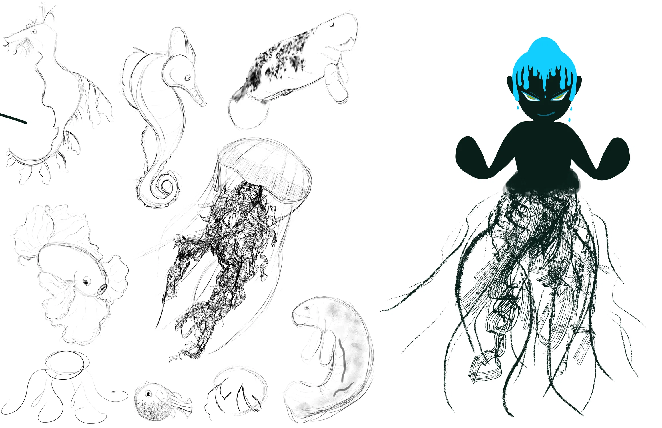 Sea creature, illustration, and character design