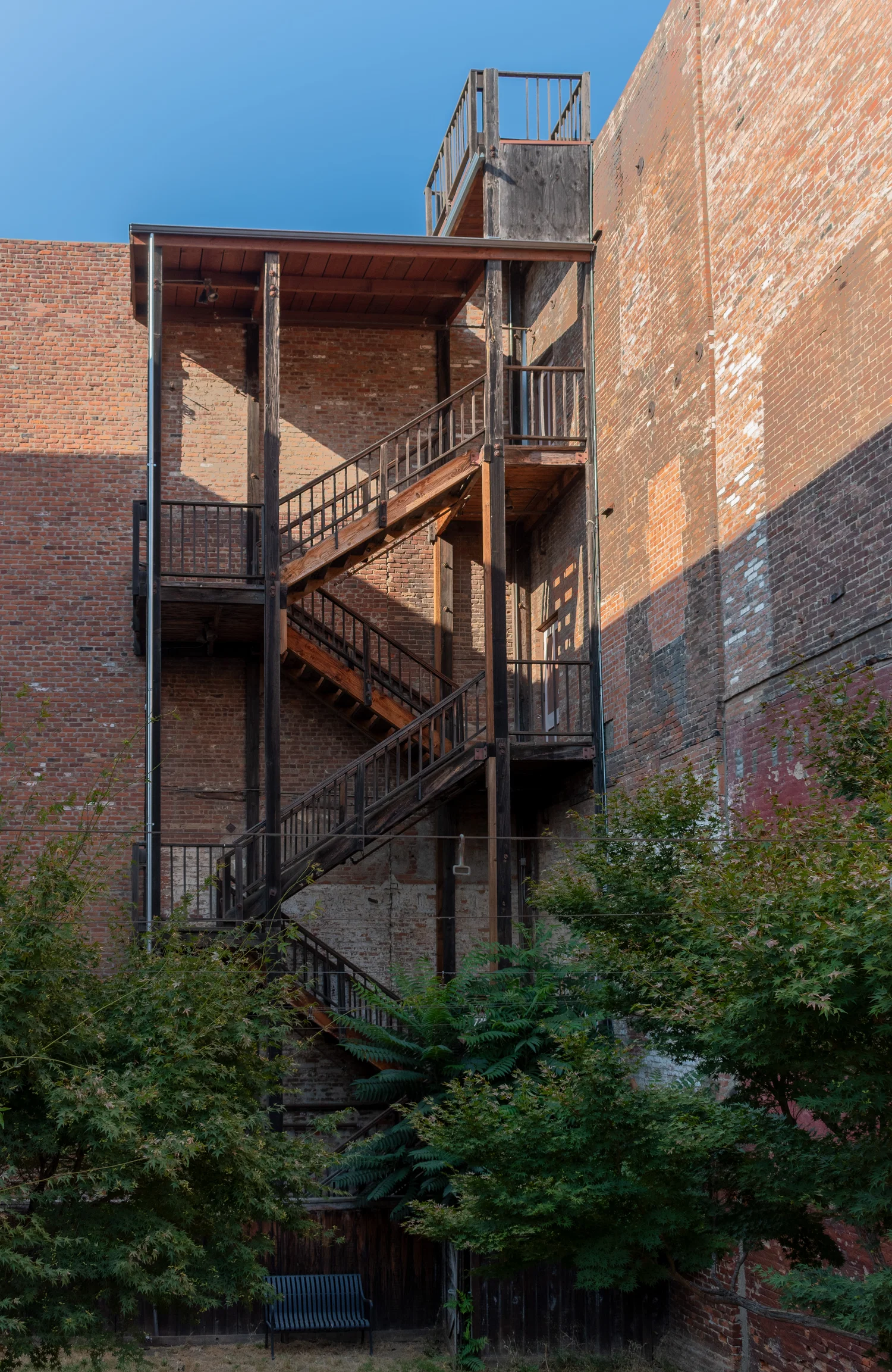 This image includes a photo of a wooden staircase with various overgrown trees in the foreground
