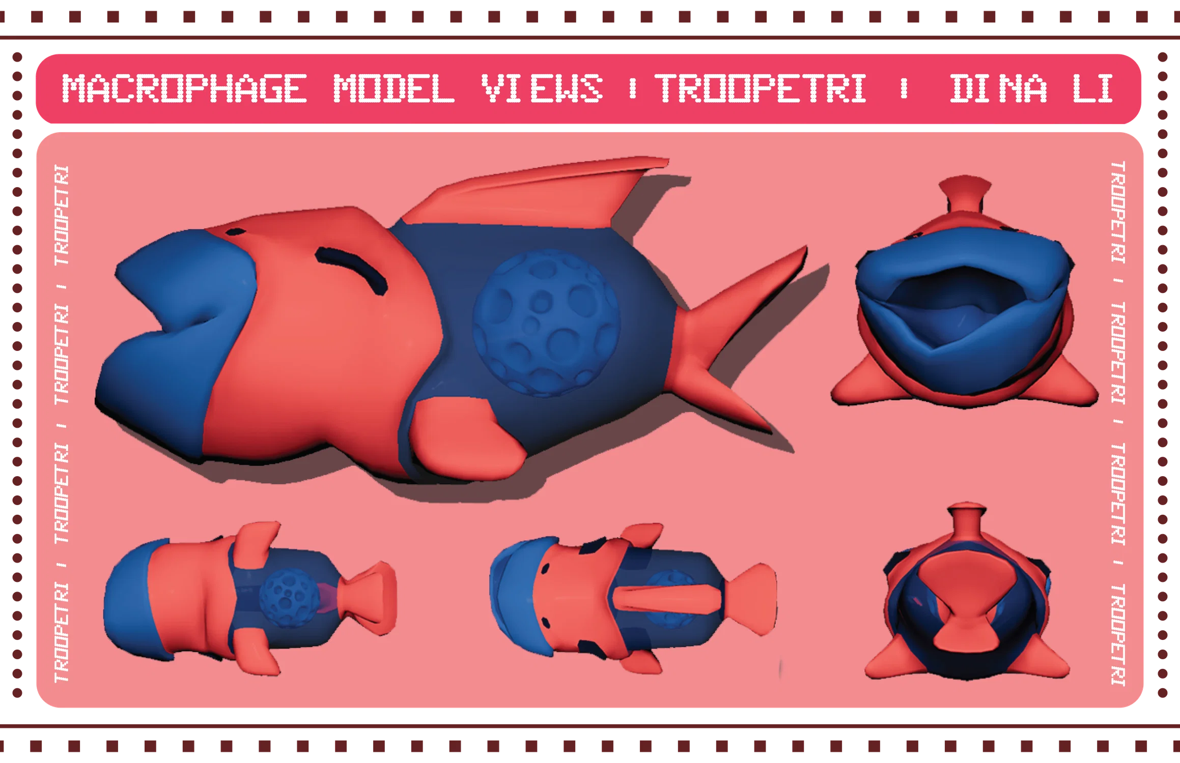 macrophage model sheet for my immune system card game troopetri