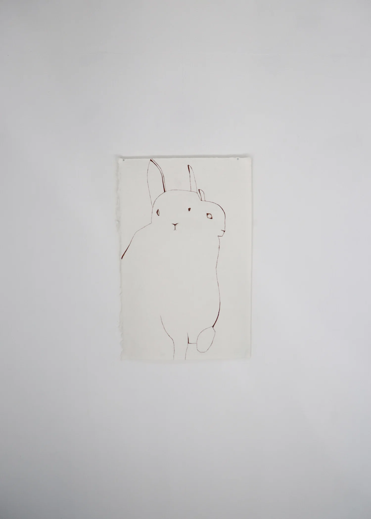 drawing/painting on large paper on wall of a two headed rabbit illustration, only linework.