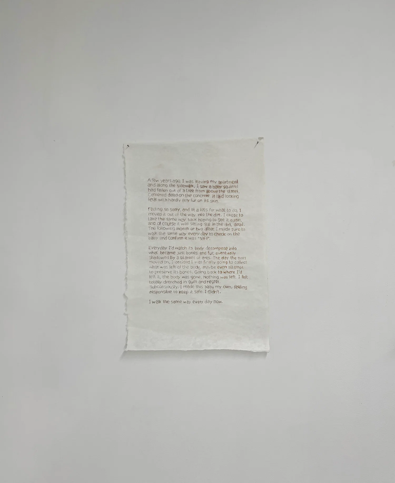 text on thin paper on the wall "A few years ago, I was leaving my apartment and along the sidewalk, I saw a baby squirrel had fallen out of a tree from above the street. Centered dead on the concrete, it laid looking fetal with hardly any fur on its skin.  Feeling so sorry, and at a loss for what to do, I moved it out of the way into the dirt. I chose to take the same way back hoping to see it again, and of course it was sitting still in the dirt, dead. The following month or two after, I made sure to walk the same way every day to check on the baby and confirm it was “safe”.  Everyday I’d watch its body decompose into what became just bones and fur, eventually shadowed by a blanket of ants. The day the ants moved on, I decided I was finally going to collect what was left of the body, maybe even attempt to preserve its bones. Going back to where I’d left it, the body was gone. Nothing was left. I felt totally drenched in guilt and regret. Subconsiously, I made this baby my own, feeling responsible to keep it safe. I didn’t.   I walk the same way every day now."