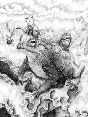 BFA Illustration