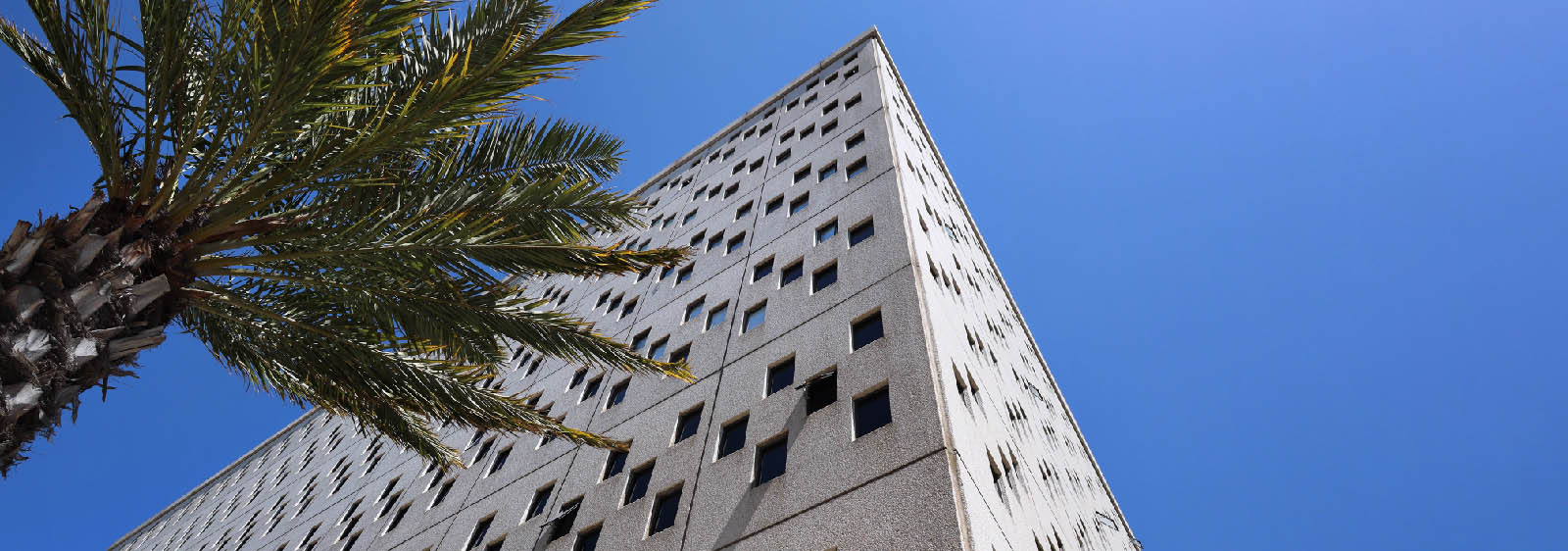 View of Otis College Ahmanson Building with Palm Tree