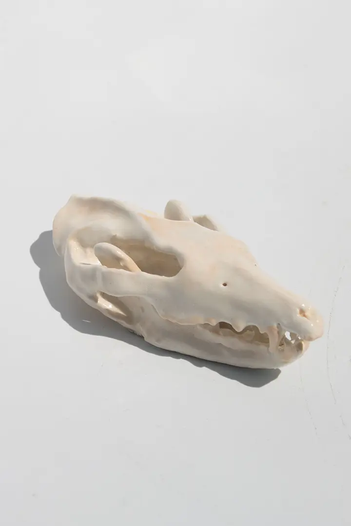 Summer of Art Ceramics Exhibition 2024 - Animal Skull