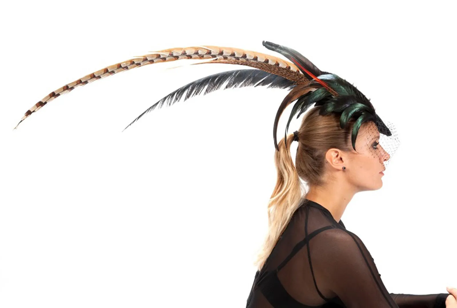 Birdfeather Fascinaor