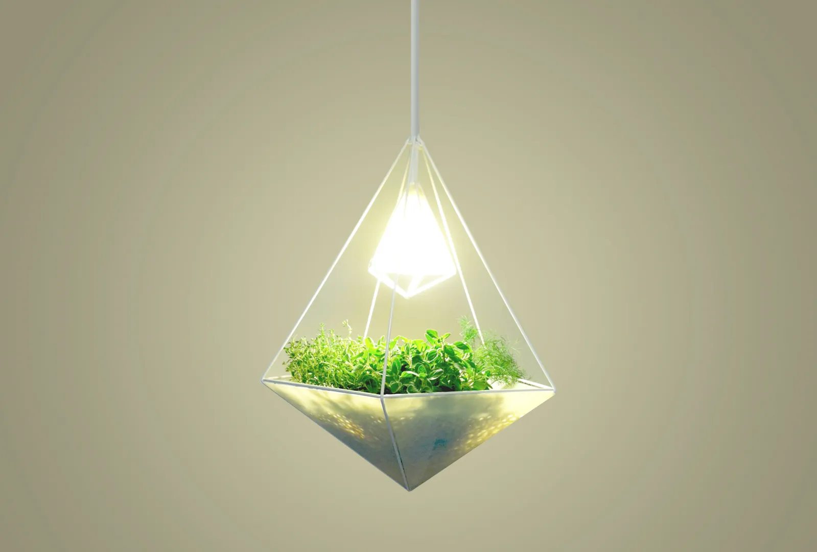 Sacred Form Planter and Light