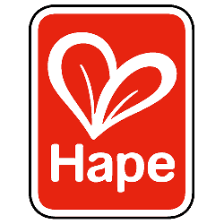 Hape Toys