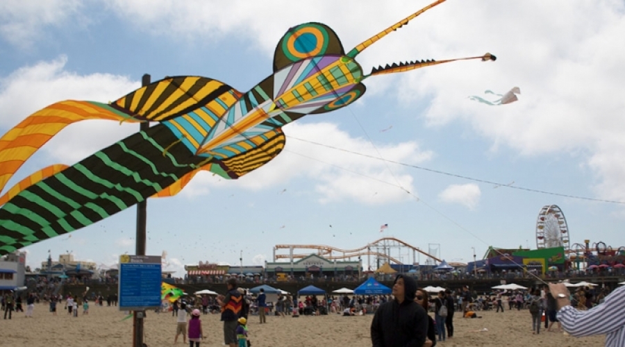 A bug-shaped kite flies high at the 2017 Kite Festival 